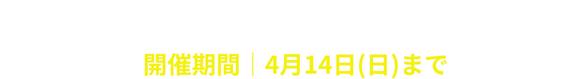 満開!!うんこ桜2024 開催中!!